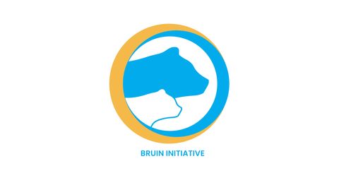 Bruin Initiative Logo