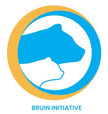 Bruin Initiative Logo