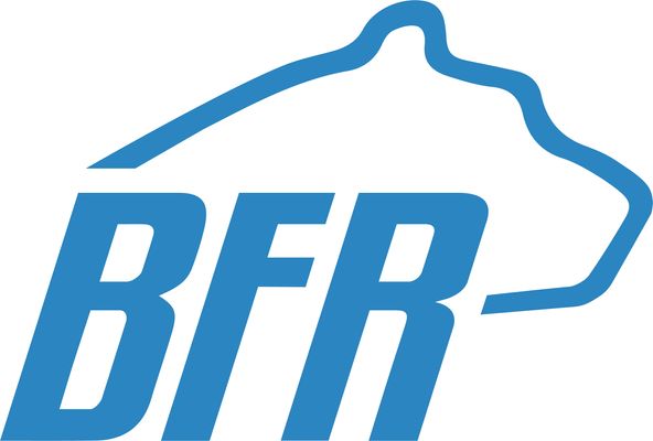 Bruin Formula Racing Logo