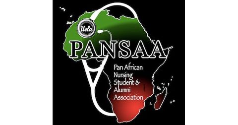 Pan African Nursing Students and Alumni Association  Logo