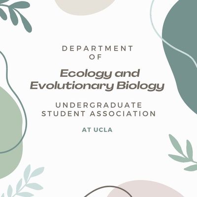 Ecology and Evolutionary Biology Undergraduate Association (EEBUA) Logo
