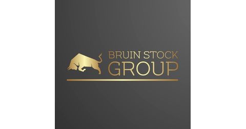 Bruin Stock Group  Logo