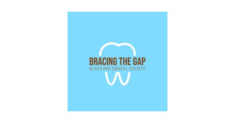 Bracing the Gap Logo