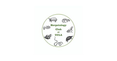 Herpetology at UCLA Logo