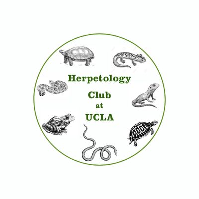 Herpetology at UCLA Logo