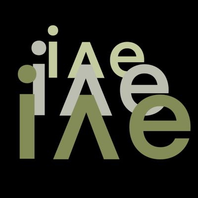 in-version ensemble Logo