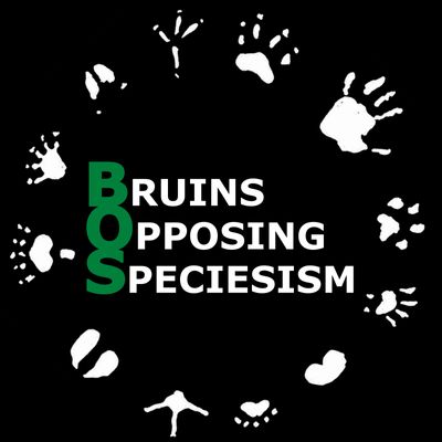 Bruins Opposing Speciesism Logo