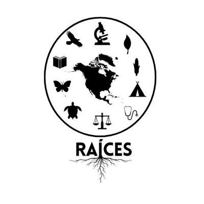 R.A.Í.C.E.S Logo