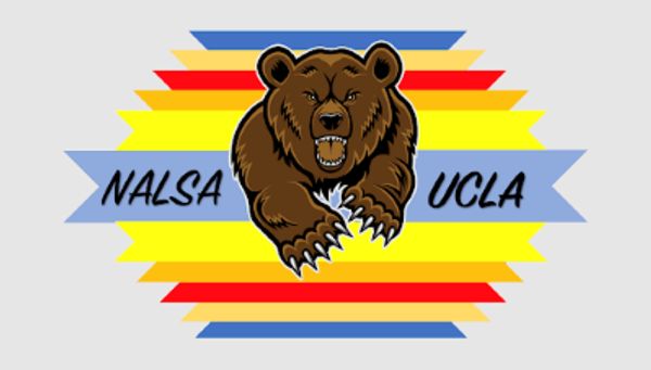 Native American Law Students Association (NALSA) Logo