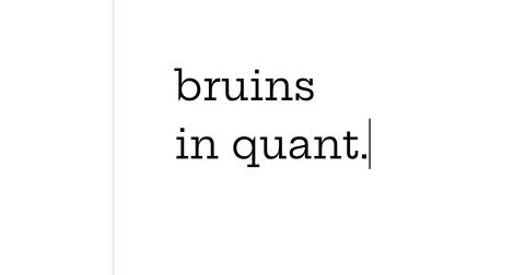 Bruins In Quant Logo