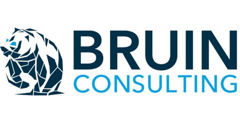 Bruin Consulting Logo