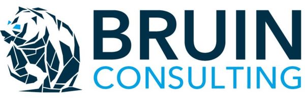 Bruin Consulting Logo